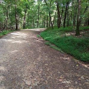 Meet your Posher, Tim